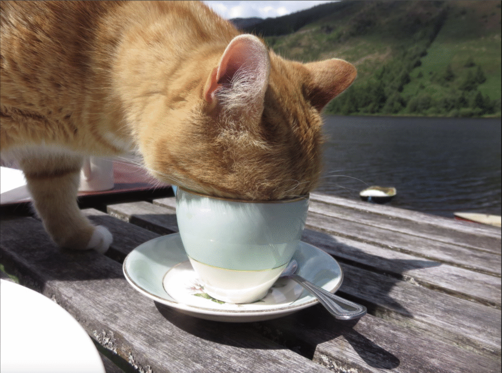 screenshot 2025 11 18 at 6.45.25 pm