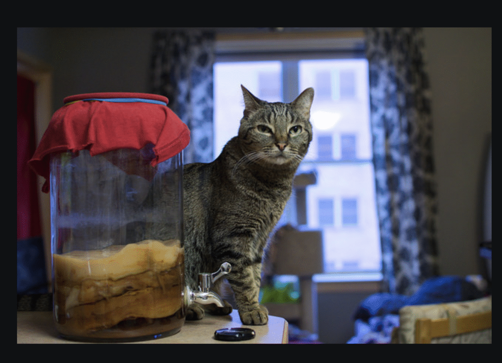 screenshot 2025 11 26 at 12.29.21 am screenshot 2025 11 26 at 12.29.21 am