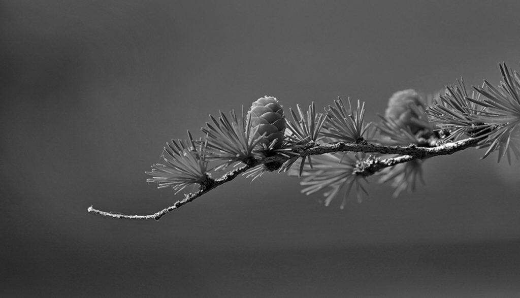 Mid02 Free Img 1024x587 1